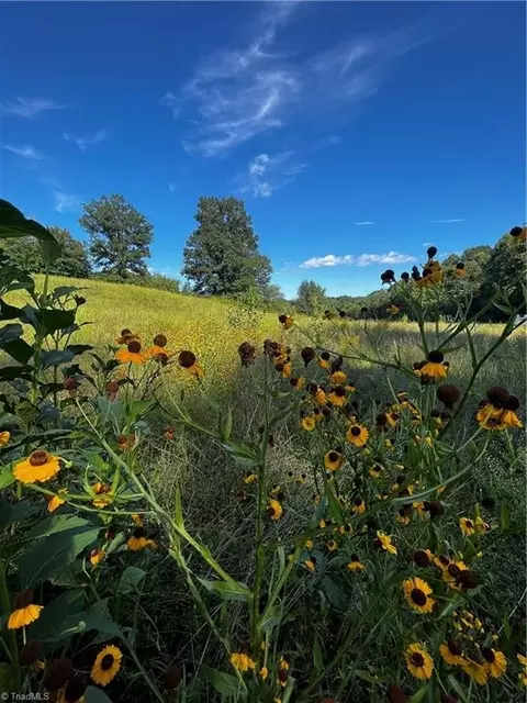 00 White Pines Country Club Rd, Mount Airy, NC 27030