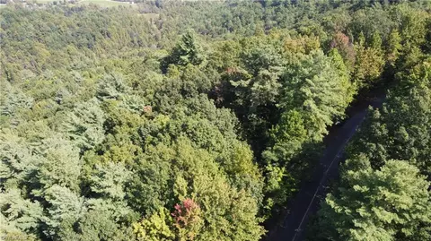0 Bobcat Mountain Rd, Purlear, NC 28665 photo 6