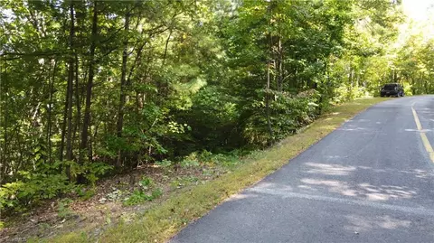 0 Bobcat Mountain Rd, Purlear, NC 28665 photo 10