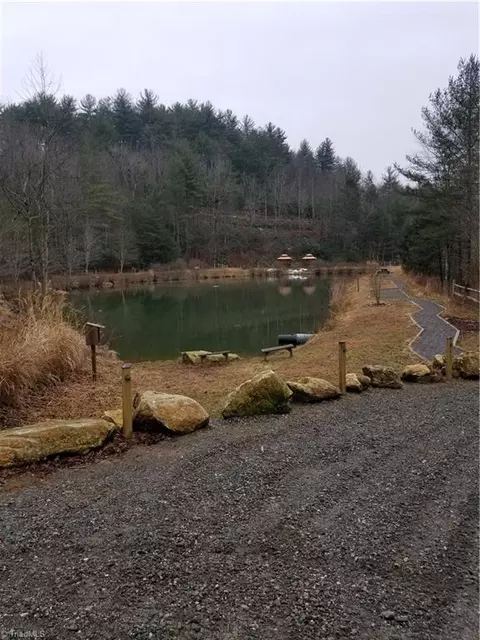 0 Bobcat Mountain Rd, Purlear, NC 28665 photo 12