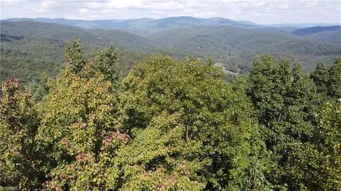 0 Bobcat Mountain Rd, Purlear, NC 28665 photo 9