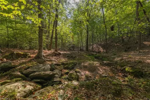 Lot 100 Woods Stream Lane, Asheboro, NC 27205