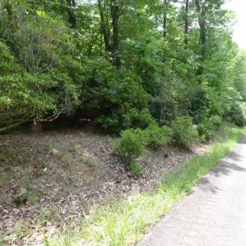 lot17 Mountain View Dr, Lowgap, NC 27024