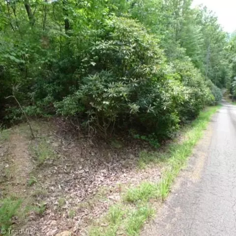 lot18 Mountain View Dr, Lowgap, NC 27024