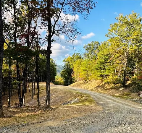 Tbd Dreamweaver Trail, Lowgap, NC 27024 photo 12