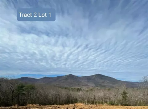 Tbd Dreamweaver Trail, Lowgap, NC 27024 photo 3