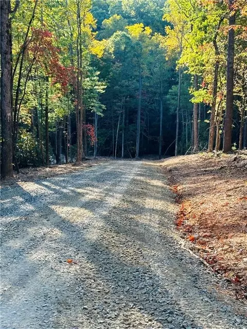Tbd Dreamweaver Trail, Lowgap, NC 27024 photo 24