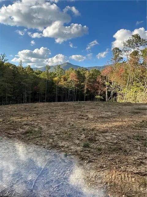 Tbd Dreamweaver Trail, Lowgap, NC 27024 photo 17