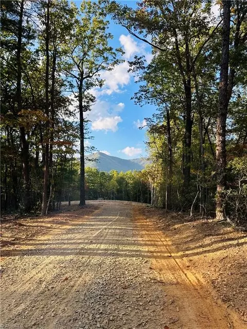 Tbd Dreamweaver Trail, Lowgap, NC 27024 photo 20