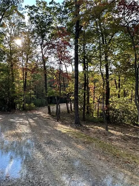 Tbd Dreamweaver Trail, Lowgap, NC 27024 photo 13