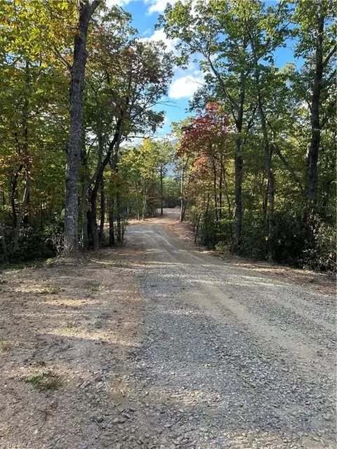 Tbd Dreamweaver Trail, Lowgap, NC 27024 photo 21