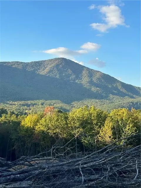 Tbd Dreamweaver Trail, Lowgap, NC 27024 photo 30