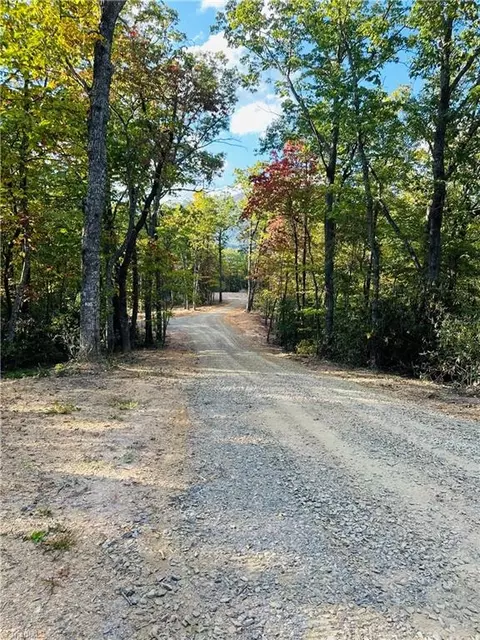 Tbd Dreamweaver Trail, Lowgap, NC 27024 photo 19