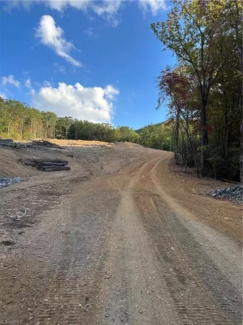 Tbd Dreamweaver Trail, Lowgap, NC 27024 photo 26
