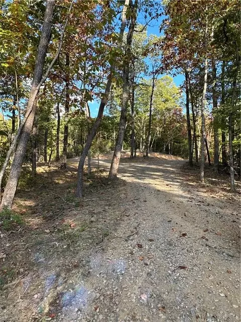 Tbd Dreamweaver Trail, Lowgap, NC 27024 photo 18