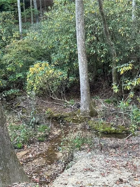 Tbd Dreamweaver Trail, Lowgap, NC 27024 photo 31