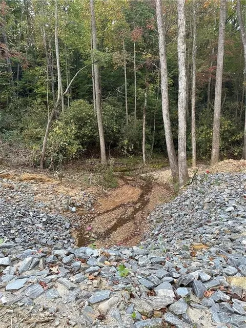 Tbd Dreamweaver Trail, Lowgap, NC 27024 photo 25