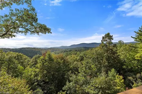 4923 Staghorn Rd, Purlear, NC 28665 photo 4