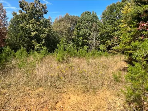 2985 Tesh Rd, Germanton, NC 27019 photo 4