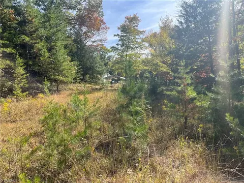2985 Tesh Rd, Germanton, NC 27019 photo 9