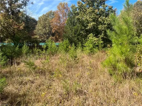 2985 Tesh Rd, Germanton, NC 27019 photo 5