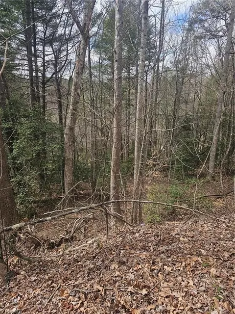 lot10 Linda Carol Ave, Wilkesboro, NC 28697