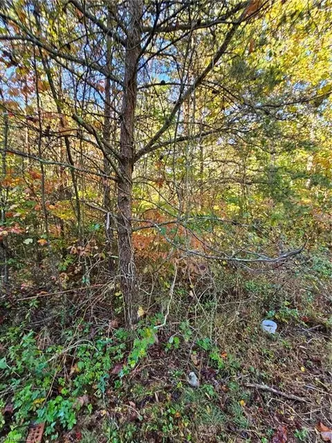 23 Brooklin Street, Wilkesboro, NC 28697