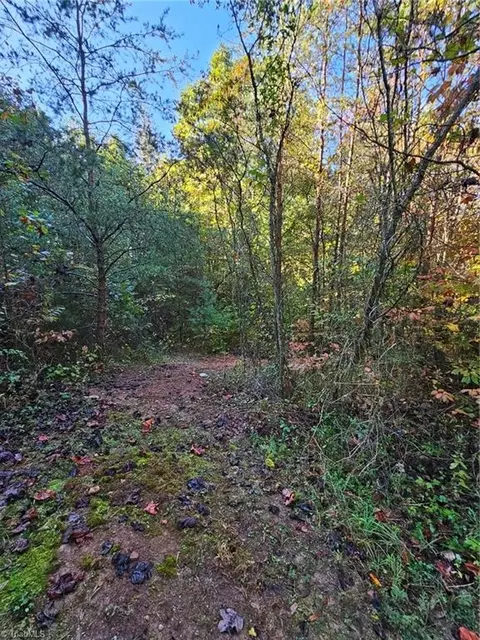 21 Brooklin Street, Wilkesboro, NC 28697