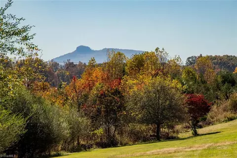 432 Springfield Rd, Pilot Mountain, NC 27041 photo 5