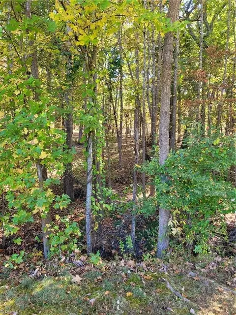 411 Harborgate Dr, Denton, NC 27239