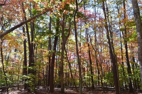 00 Ward Rd, Eden, NC 27288 photo 8