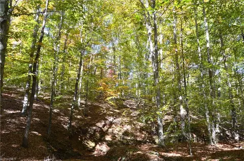 00 Ward Rd, Eden, NC 27288 photo 23