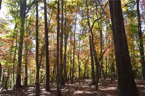 00 Ward Rd, Eden, NC 27288 photo 10