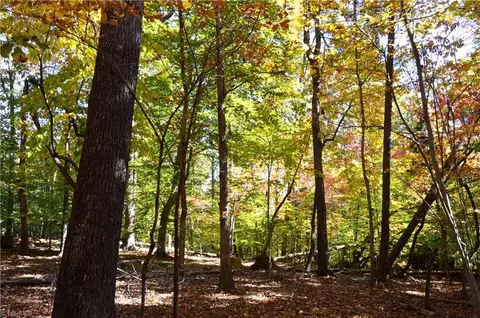 00 Ward Rd, Eden, NC 27288 photo 9