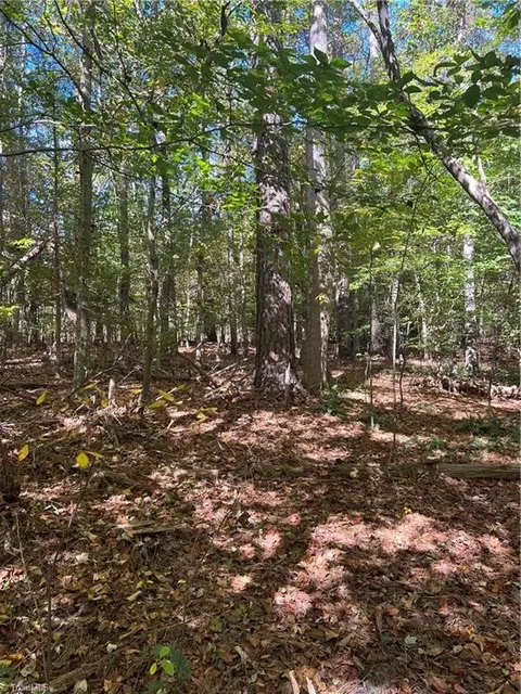 0000 J C Teague Rd, Staley, NC 27355 photo 3