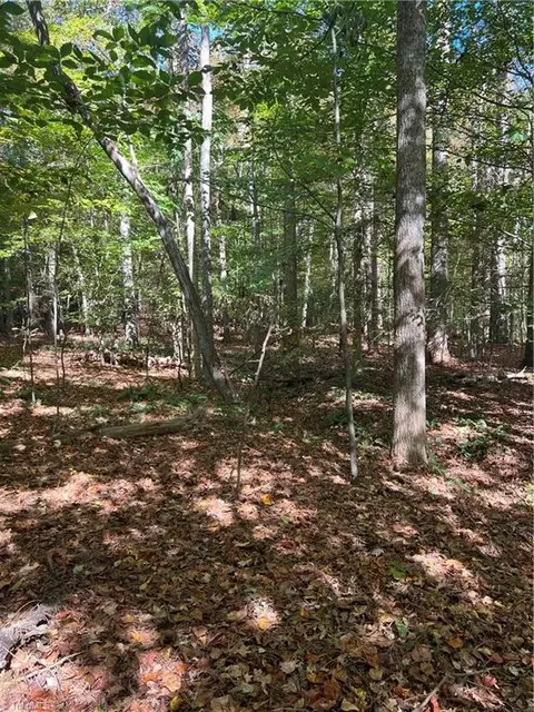 0000 J C Teague Rd, Staley, NC 27355 photo 2