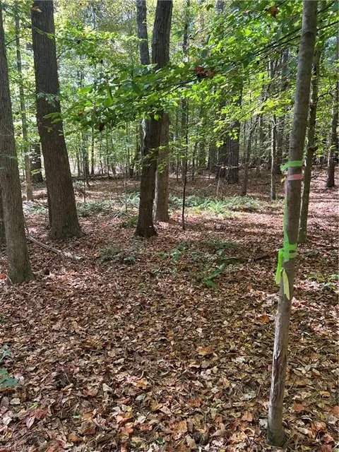 0000 J C Teague Rd, Staley, NC 27355 photo 4