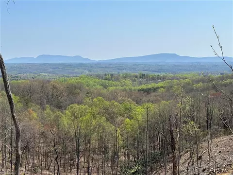 2 Howell Rd, Pilot Mountain, NC 27041 photo 4
