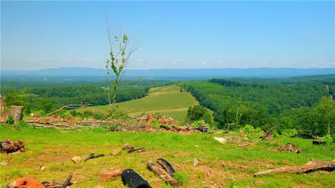 2 Howell Rd, Pilot Mountain, NC 27041 photo 7