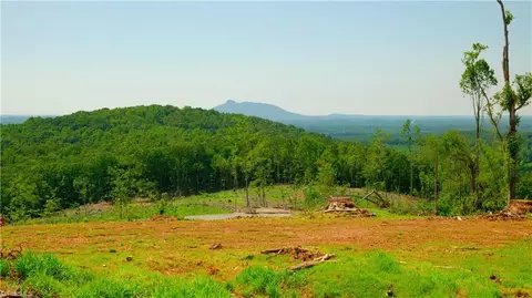 2 Howell Rd, Pilot Mountain, NC 27041 photo 5