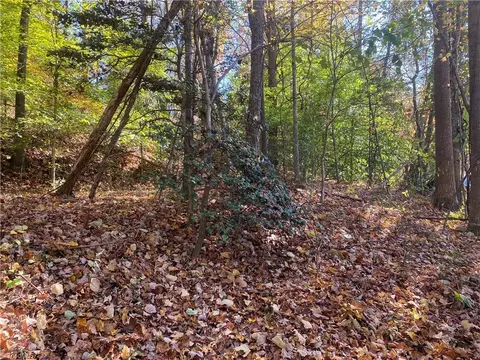 0 Traphill Rd, Traphill, NC 28685 photo 4