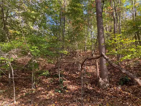 0 Traphill Rd, Traphill, NC 28685 photo 8