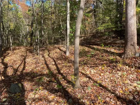 0 Traphill Rd, Traphill, NC 28685 photo 3