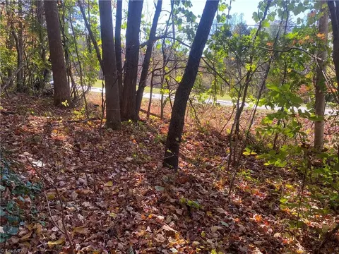 0 Traphill Rd, Traphill, NC 28685 photo 6