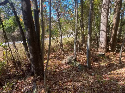 0 Traphill Rd, Traphill, NC 28685 photo 5