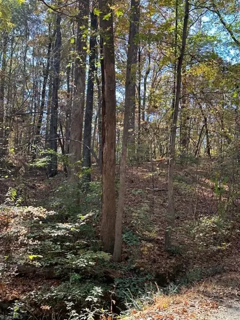 0 Beckerdite Rd, Sophia, NC 27350