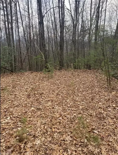 227 Deer Run, Purlear, NC 28665