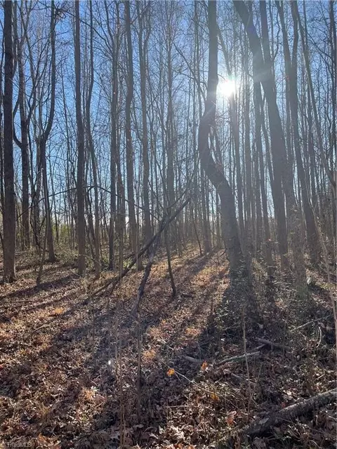 2400 Halls Mill Rd, Efland, NC 27243