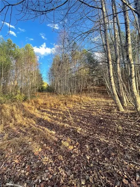 002 Forest Dr, State Road, NC 28676 photo 27