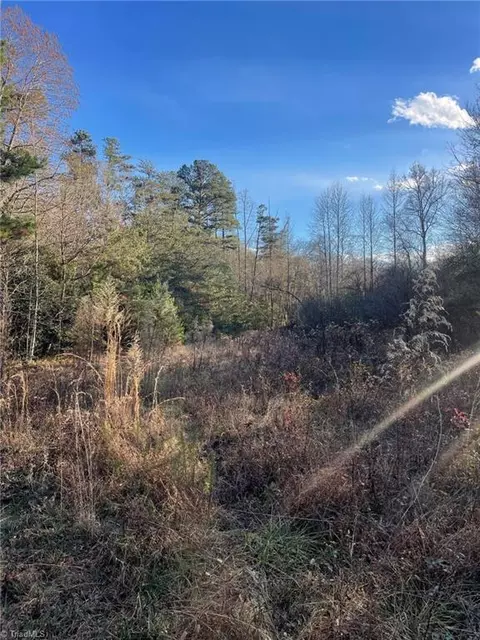 002 Forest Dr, State Road, NC 28676 photo 32